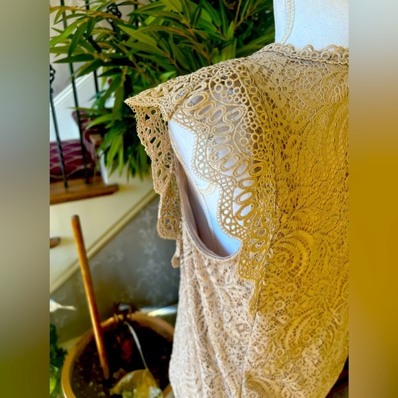 Cable and Gauge ladies lace, short sleeve top, cap sleeves lined large cream - Picture 6 of 9